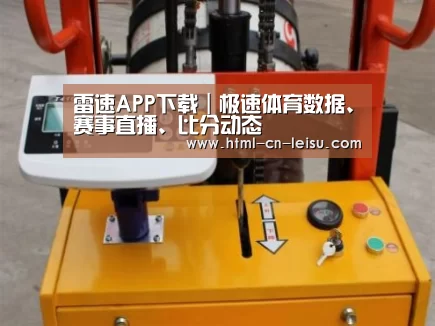 雷速体育网页版案例展示三