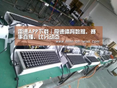 雷速体育网页版案例展示一