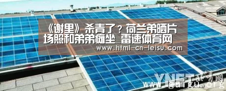 雷速体育网页端