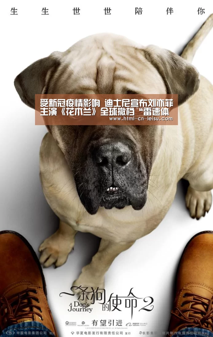 雷速体育网页版