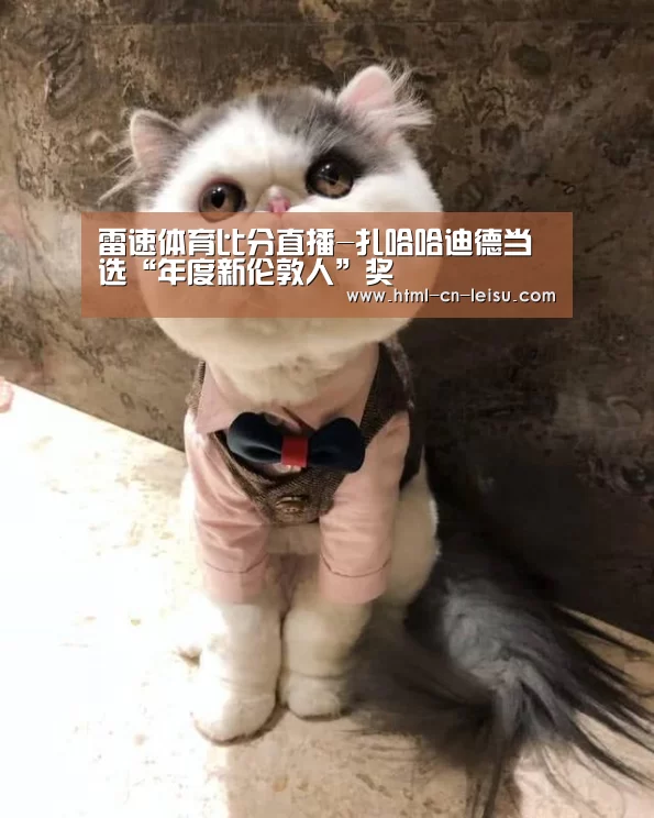 雷速体育网页端