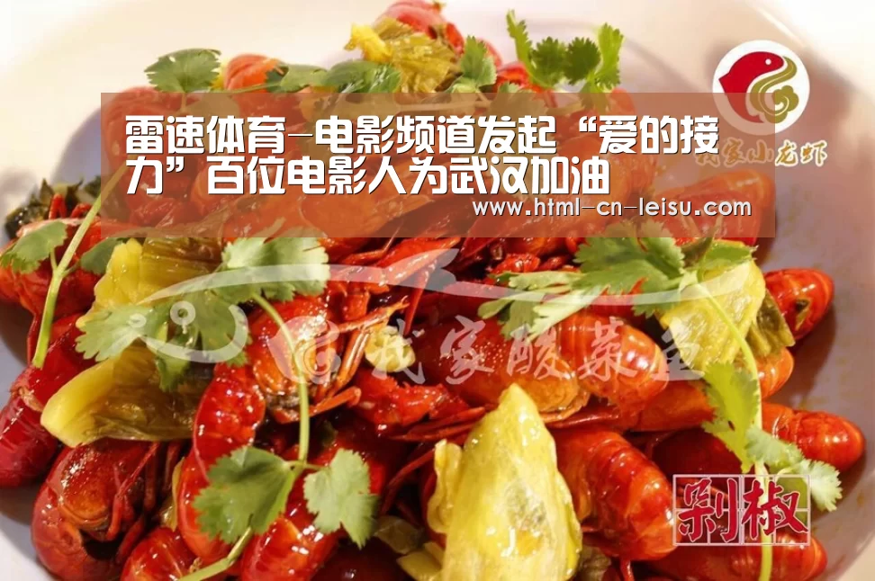 雷速体育