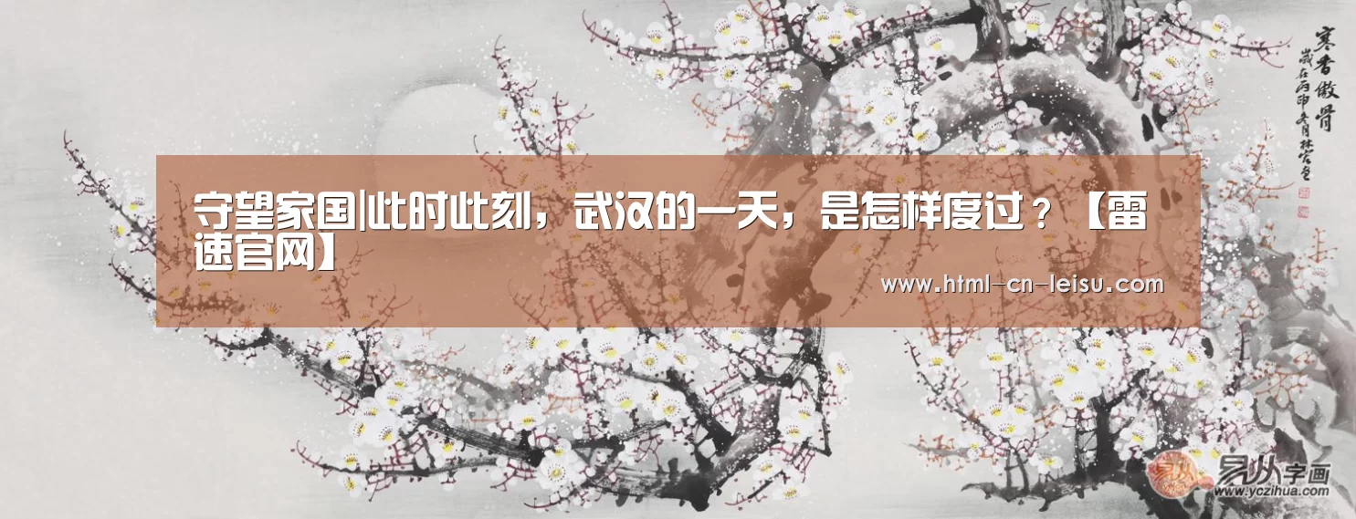 雷速官网