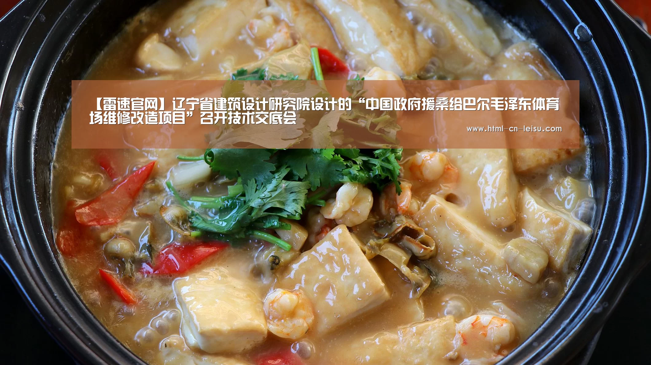 雷速体育