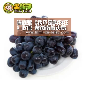 雷速体育网页版